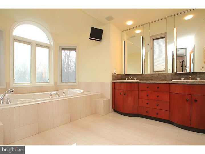 738 Righters Mill Road Penn Valley, PA 19004 - Photo 10 of 25 Master Bathroom