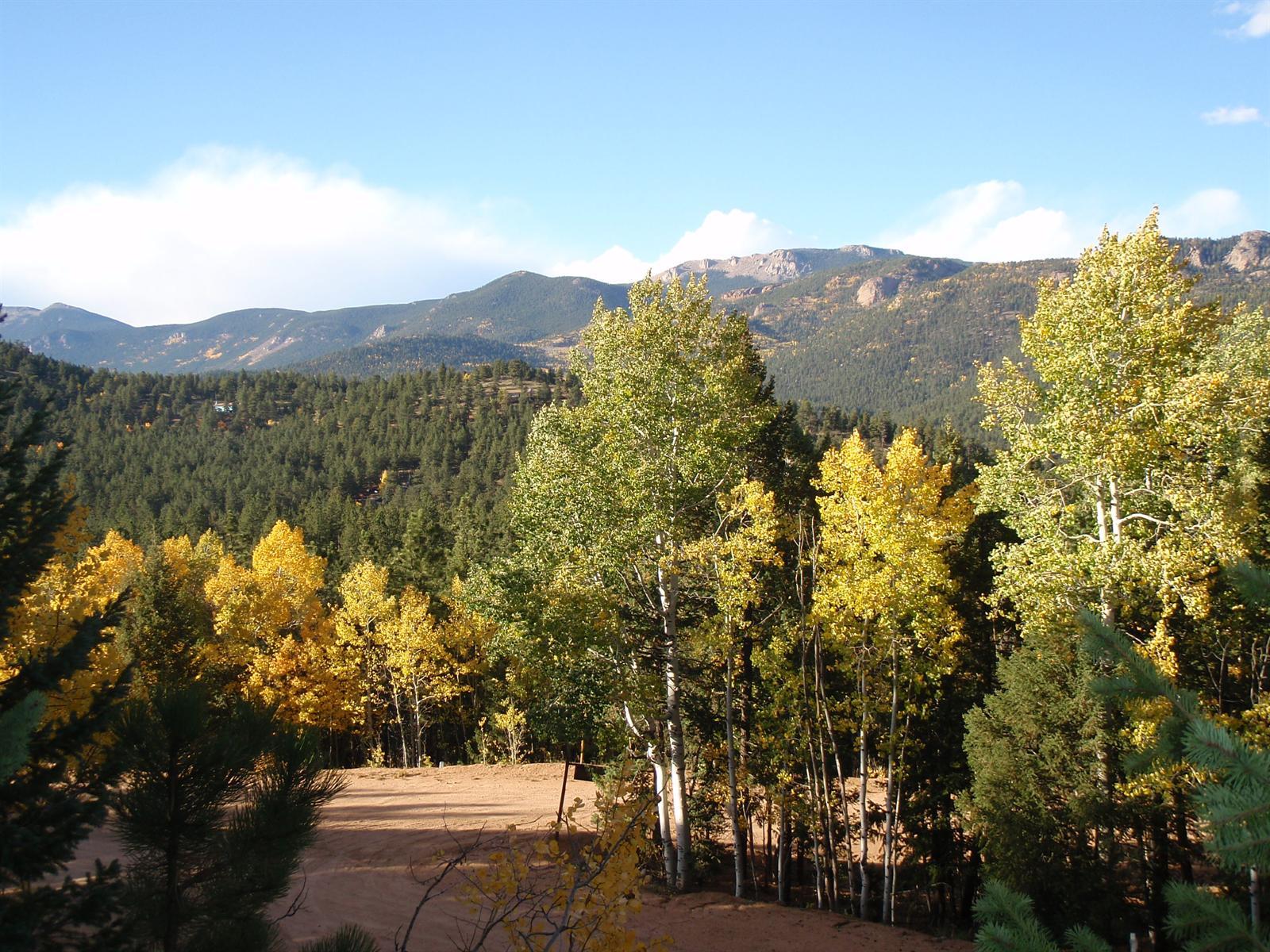 550 Desperado Road Bailey, CO 80421 - Photo 1 of 1 Gallery Image 1