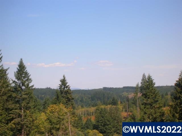 Chapman Grange (lot Road, Unit 25 & 26) Scappoose, OR 97056 - Photo 4 of 7