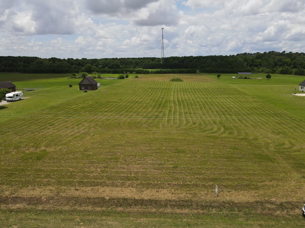 0 County Road 39 Road Headland, AL 36345 - Photo 2 of 7