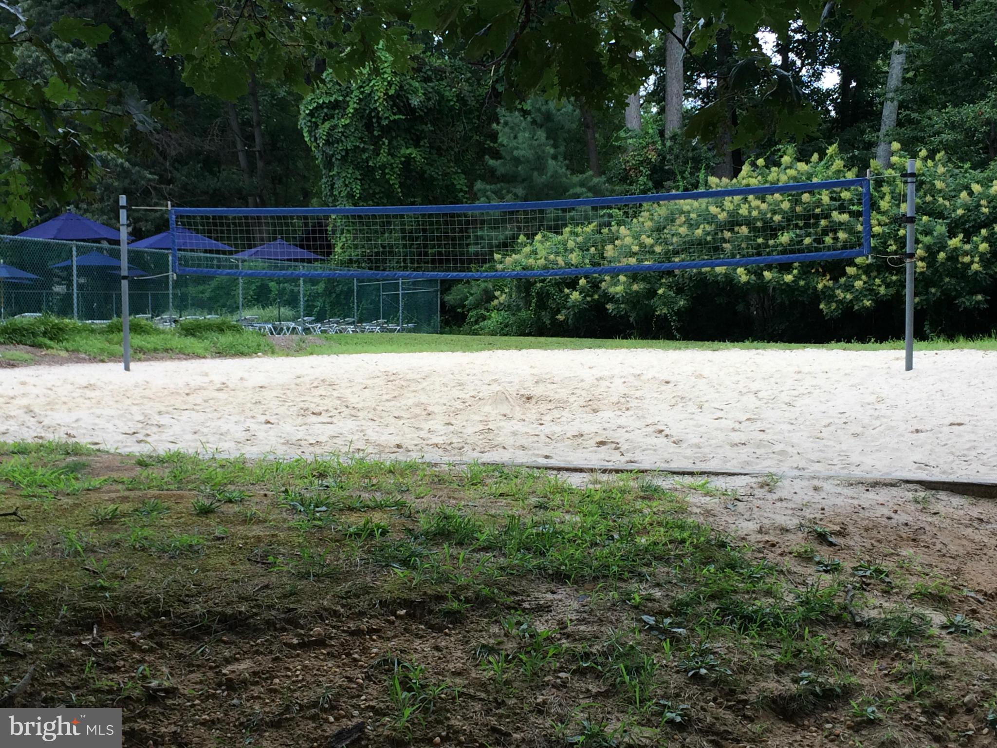 447 Colonial Ridge Lane Arnold, MD 21012 - Photo 26 of 30 volleyball court