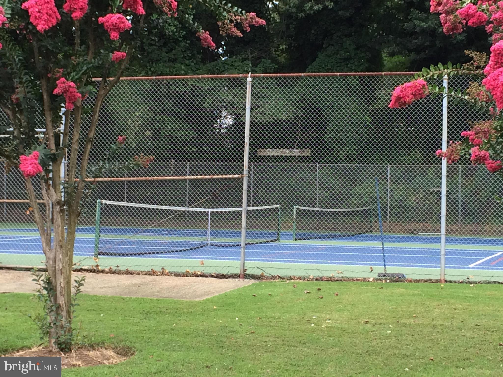 447 Colonial Ridge Lane Arnold, MD 21012 - Photo 27 of 30 tennis courts