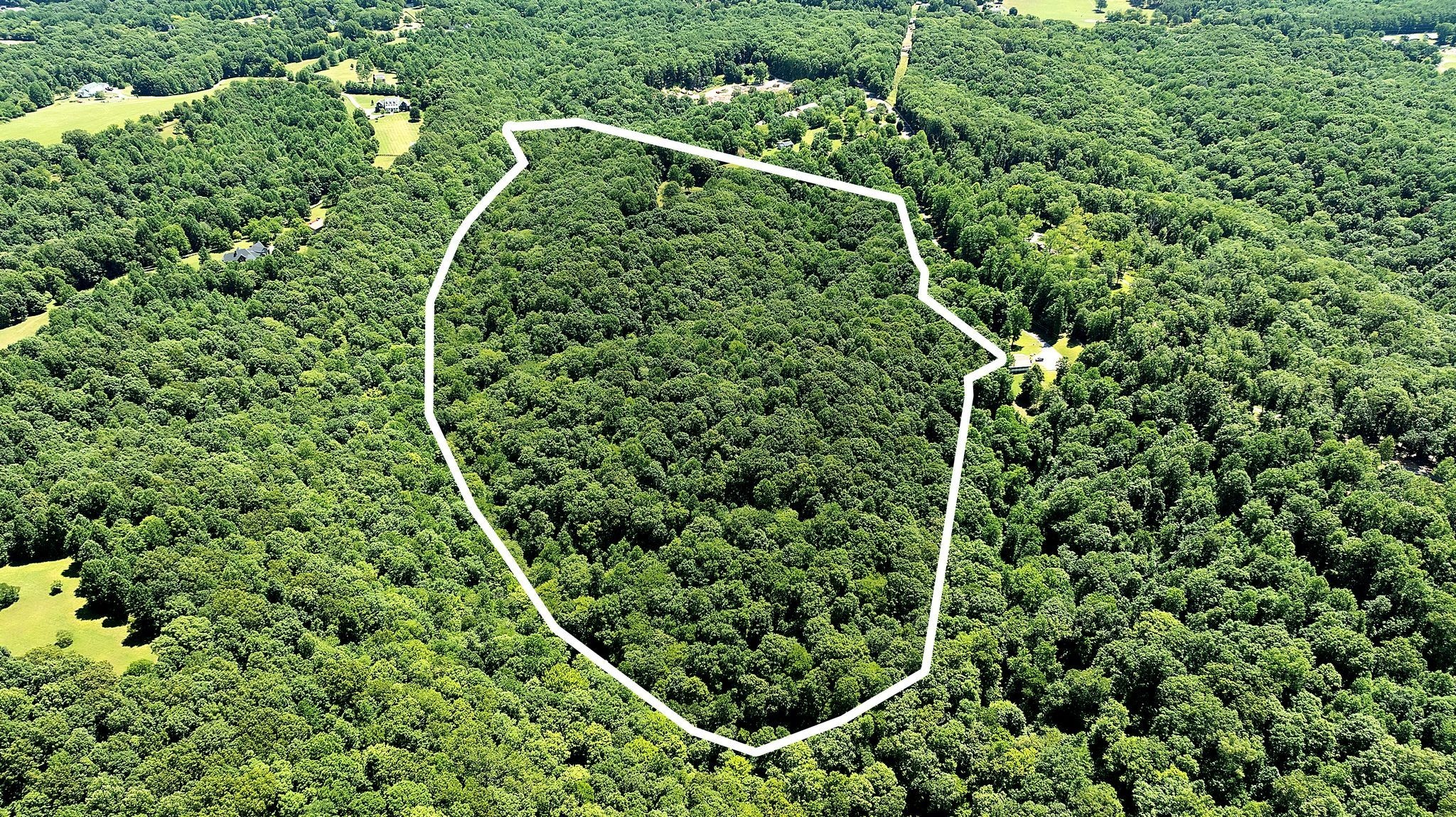 0 Hargrove Ridge Road Franklin, TN 37064 - Photo 23 of 72 40 acre parcel lines (please refer to survey for exact lines these are estimated)