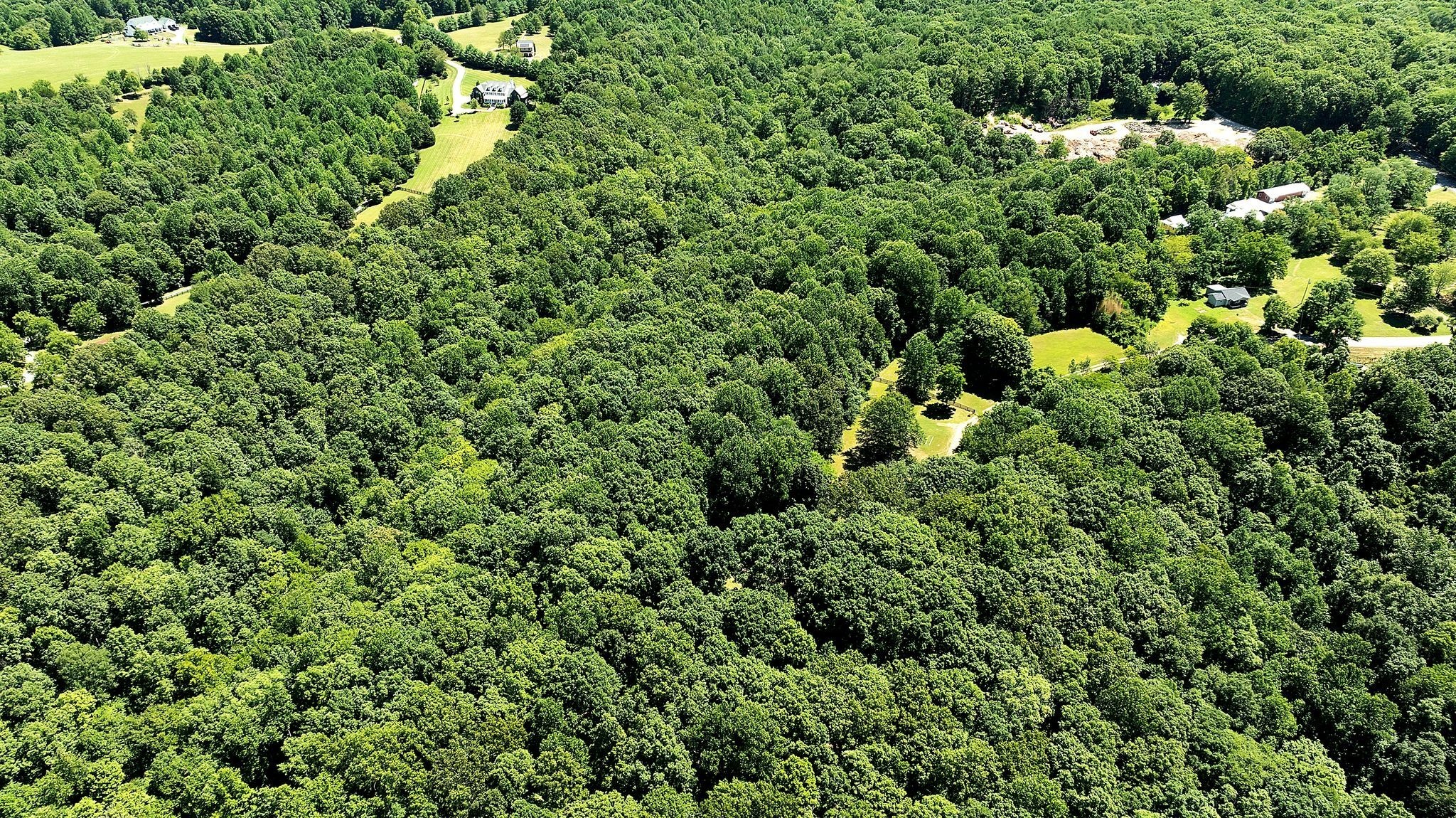 0 Hargrove Ridge Road Franklin, TN 37064 - Photo 26 of 72