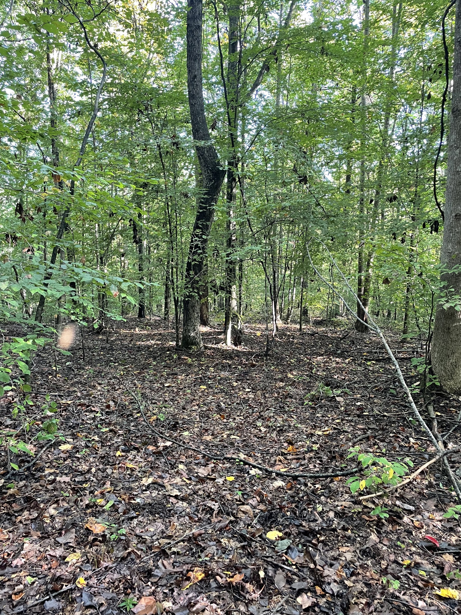 0 Hargrove Ridge Road Franklin, TN 37064 - Photo 65 of 72