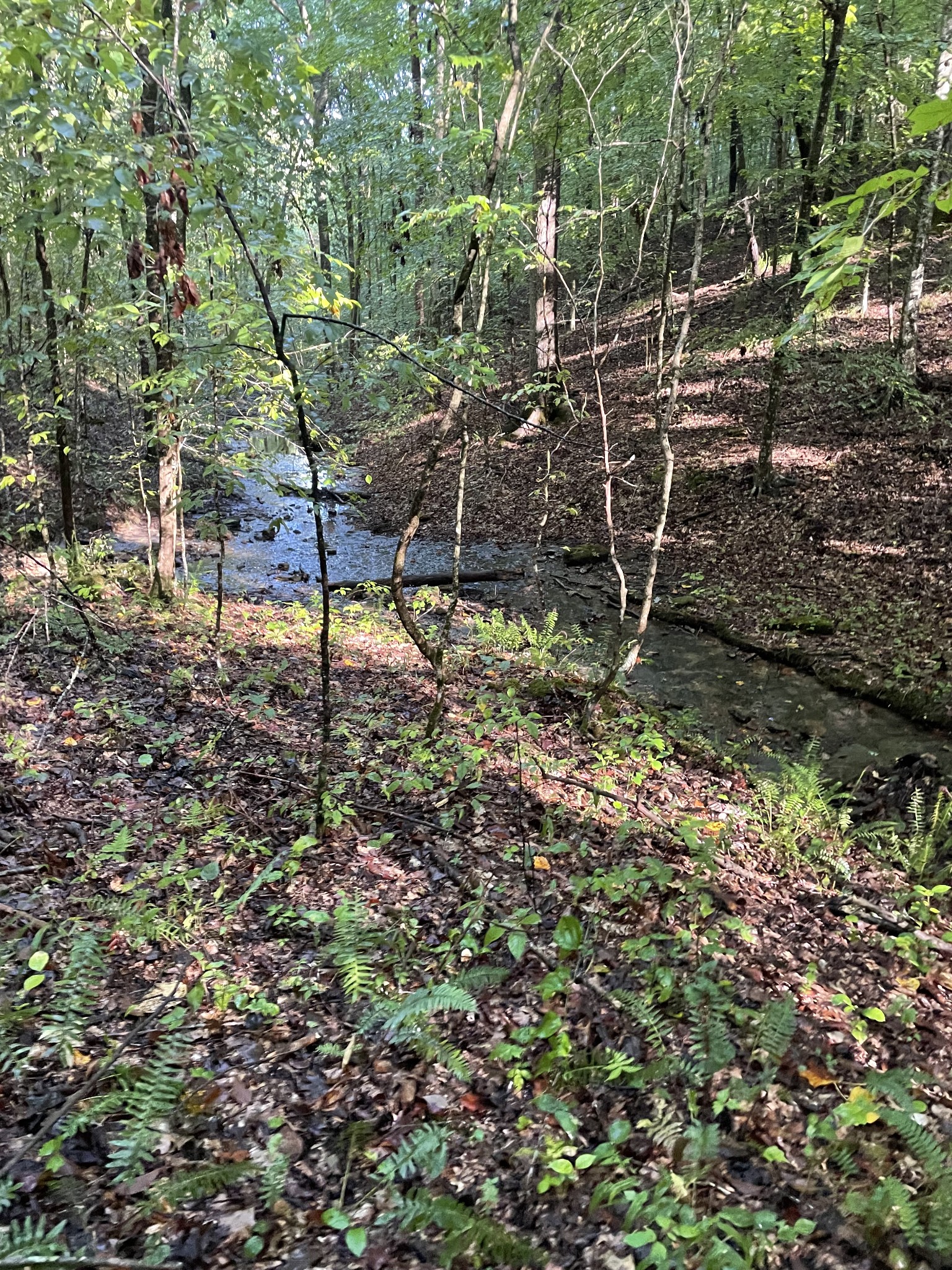 0 Hargrove Ridge Road Franklin, TN 37064 - Photo 66 of 72