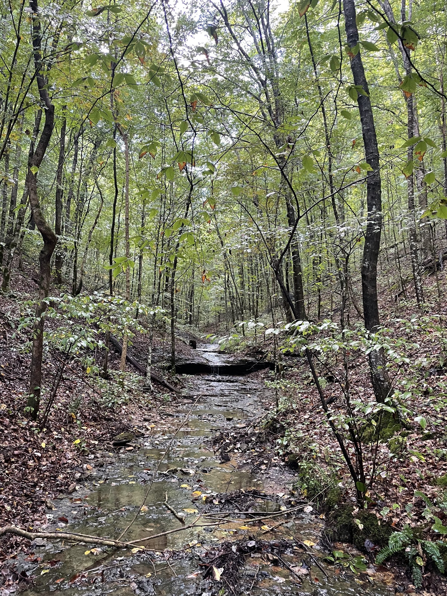 0 Hargrove Ridge Road Franklin, TN 37064 - Photo 69 of 72