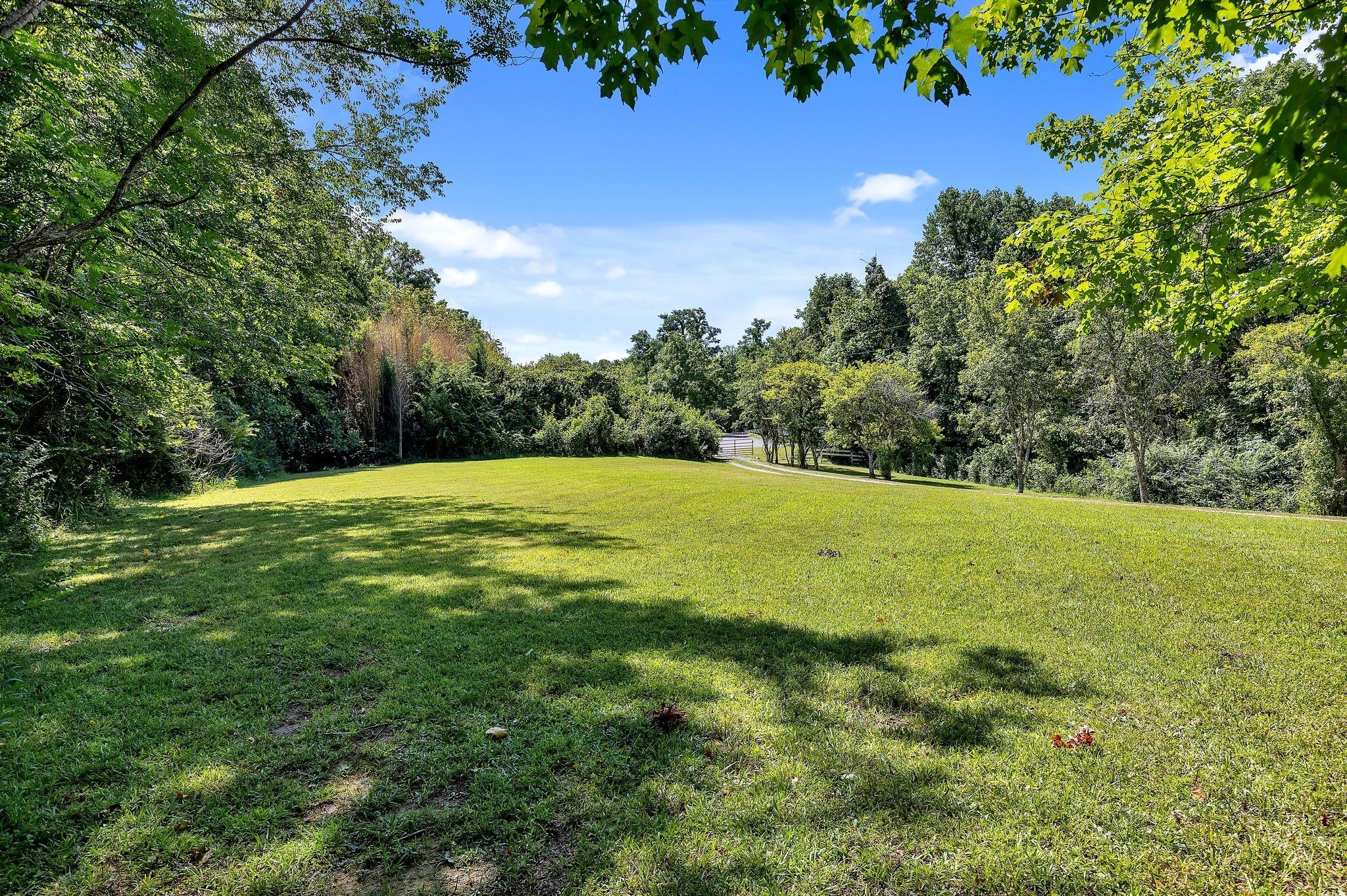 0 Hargrove Ridge Road Franklin, TN 37064 - Photo 7 of 72 Beautiful grass lawn on the property