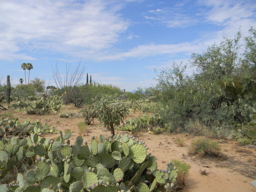16042 West Ridgemoor Avenue Tucson, AZ 85736 - Photo 21 of 24