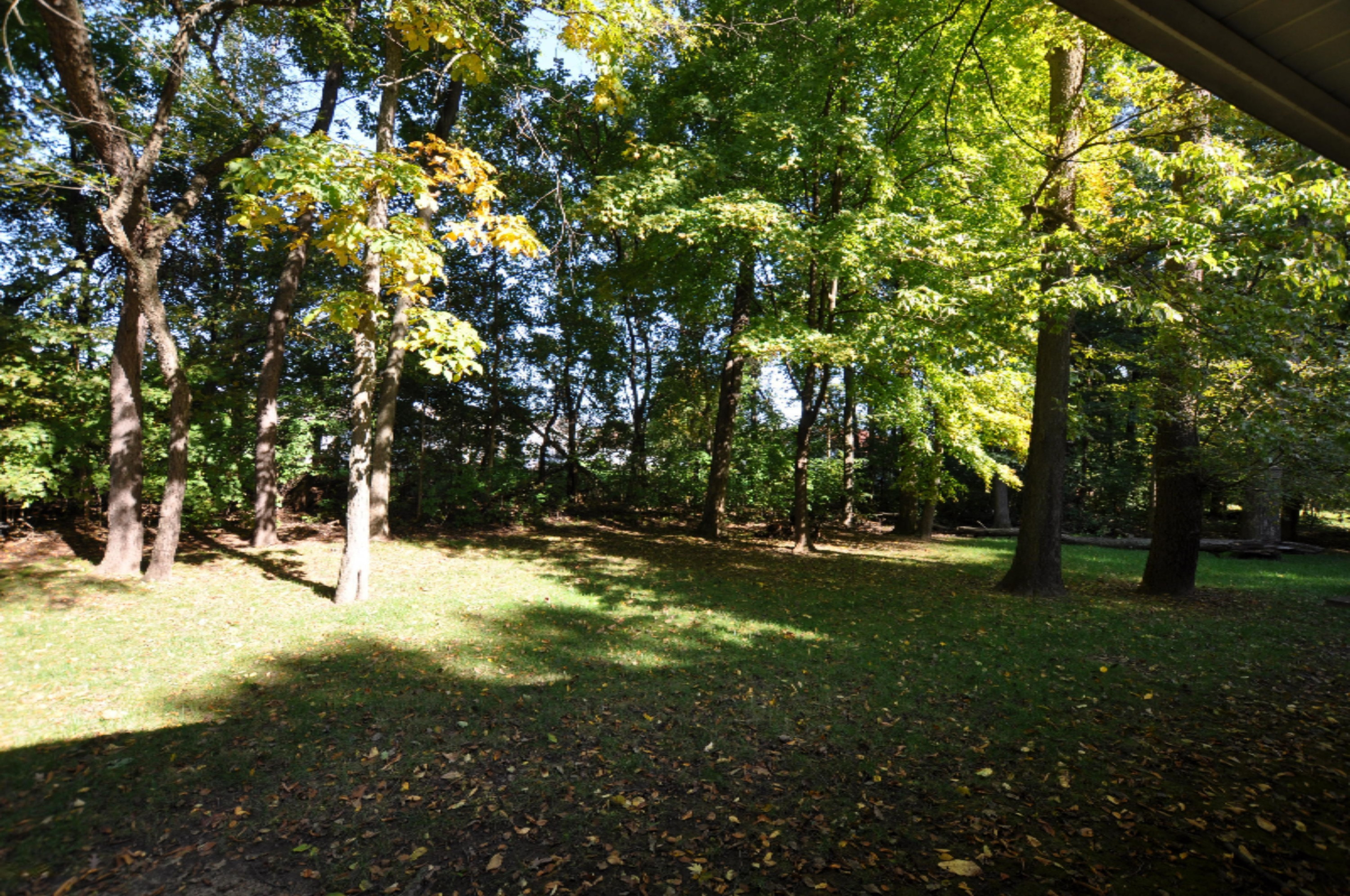 56508 Brave Drive Three Rivers, MI 49093 - Photo 25 of 28 DSC_3557