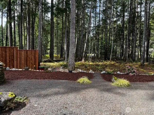 a view of a fire pit with large trees