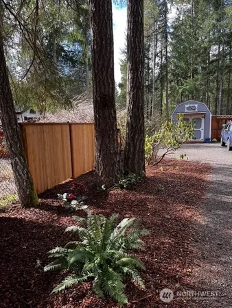a view of a backyard with trees
