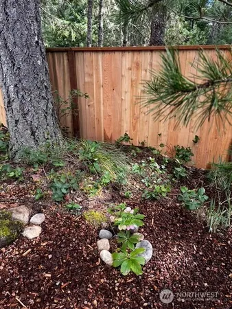 a bunch of trees with wooden fence