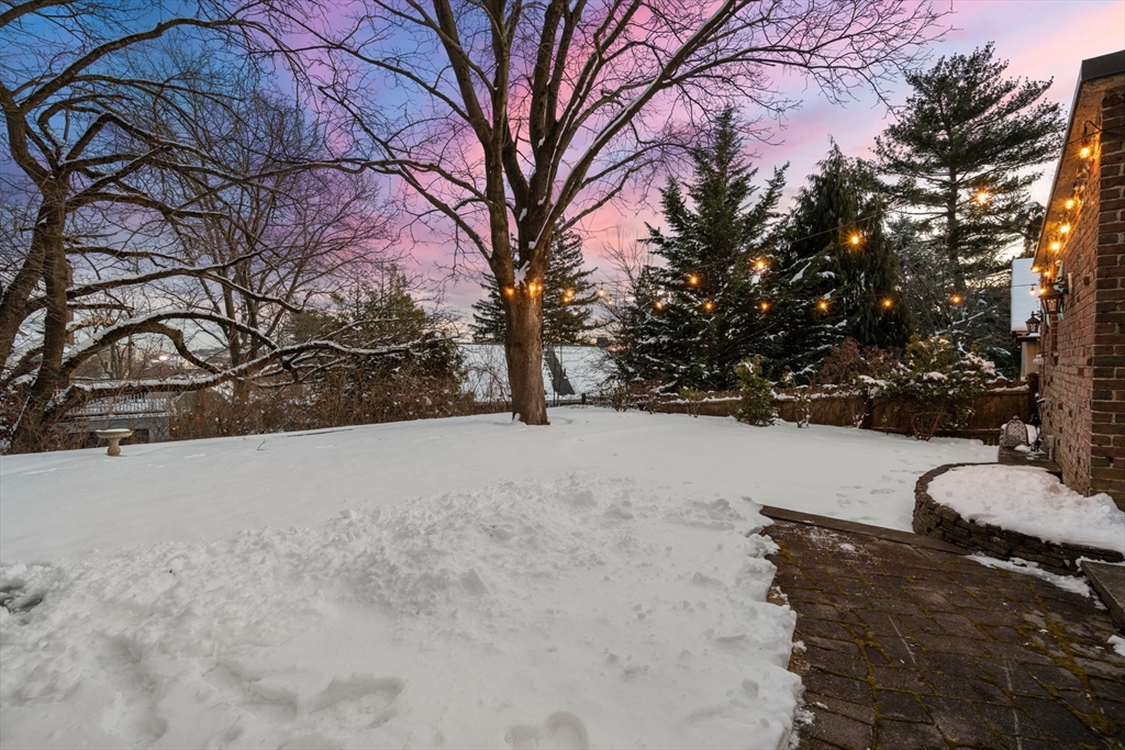 44 Shattuck Road Watertown, MA 02472 - Photo 39 of 40 Gallery Image 39