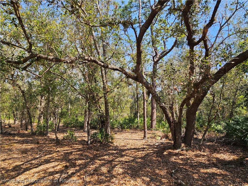 463 Sheppard Road Venus, FL 33960 - Photo 14 of 22 Gallery Image 14