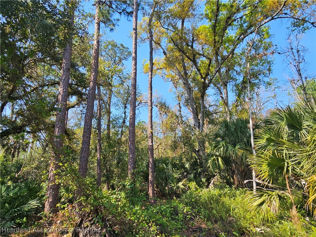 463 Sheppard Road Venus, FL 33960 - Photo 15 of 22 Gallery Image 15