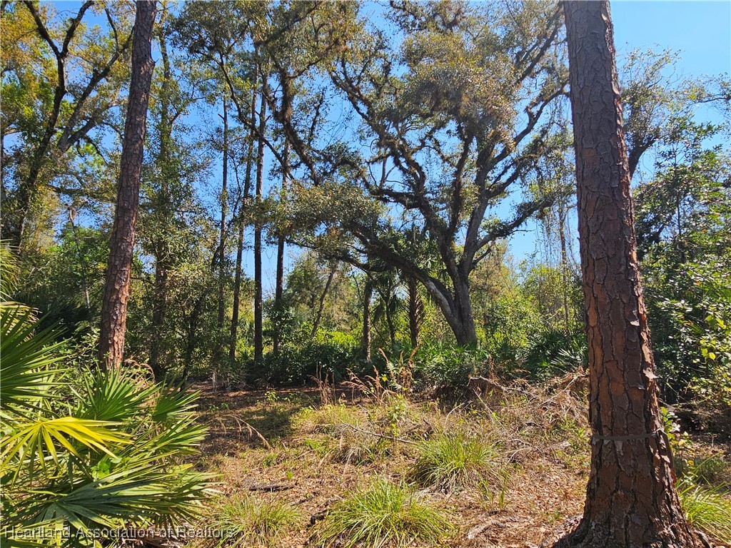 463 Sheppard Road Venus, FL 33960 - Photo 16 of 22 Gallery Image 16