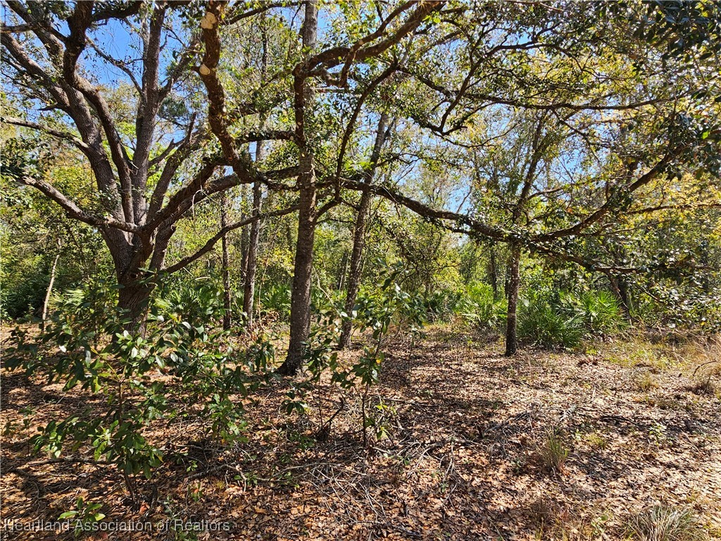 463 Sheppard Road Venus, FL 33960 - Photo 17 of 22 Gallery Image 17