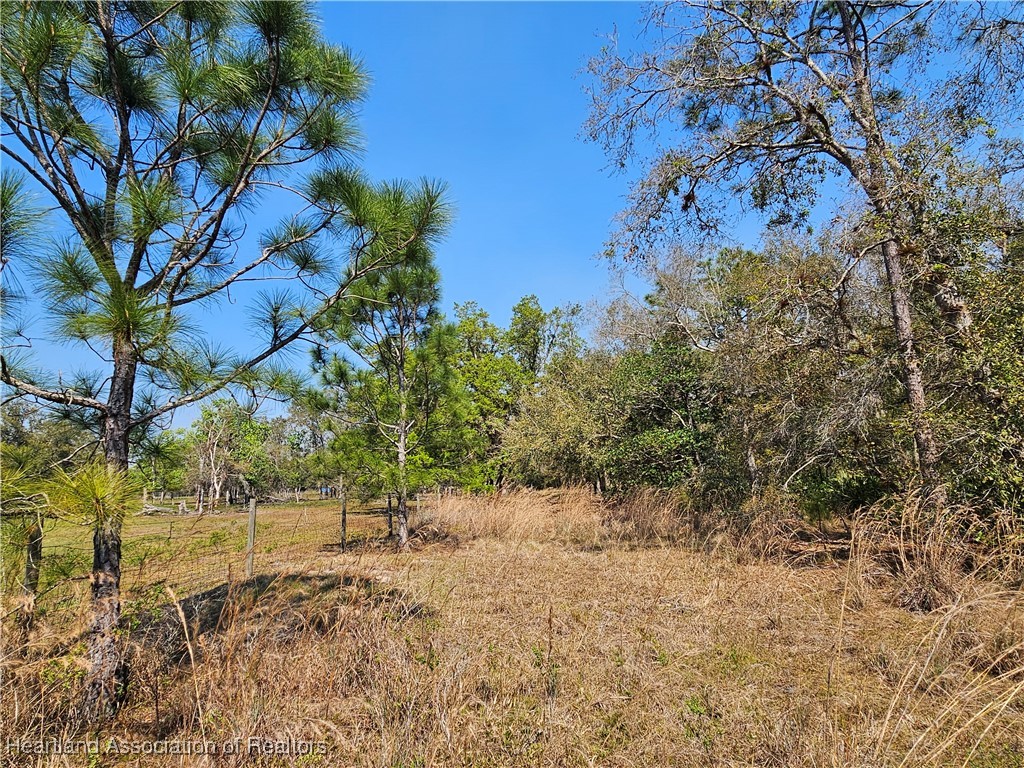 463 Sheppard Road Venus, FL 33960 - Photo 19 of 22 Gallery Image 19