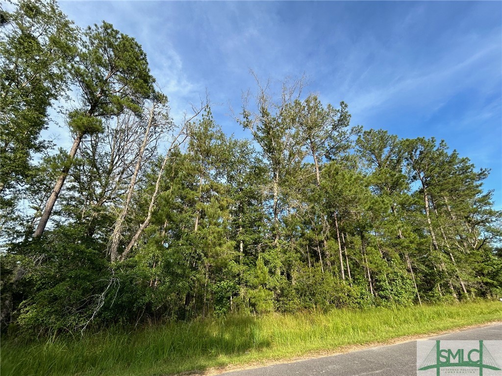 102 Trail Road South Midway, GA 31320 - Photo 1 of 3 Gallery Image 1