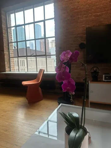 $535,000 | 531 South Plymouth Court, Unit 602, Chicago, IL 60605