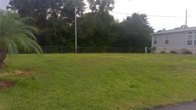 a view of a field with a tree