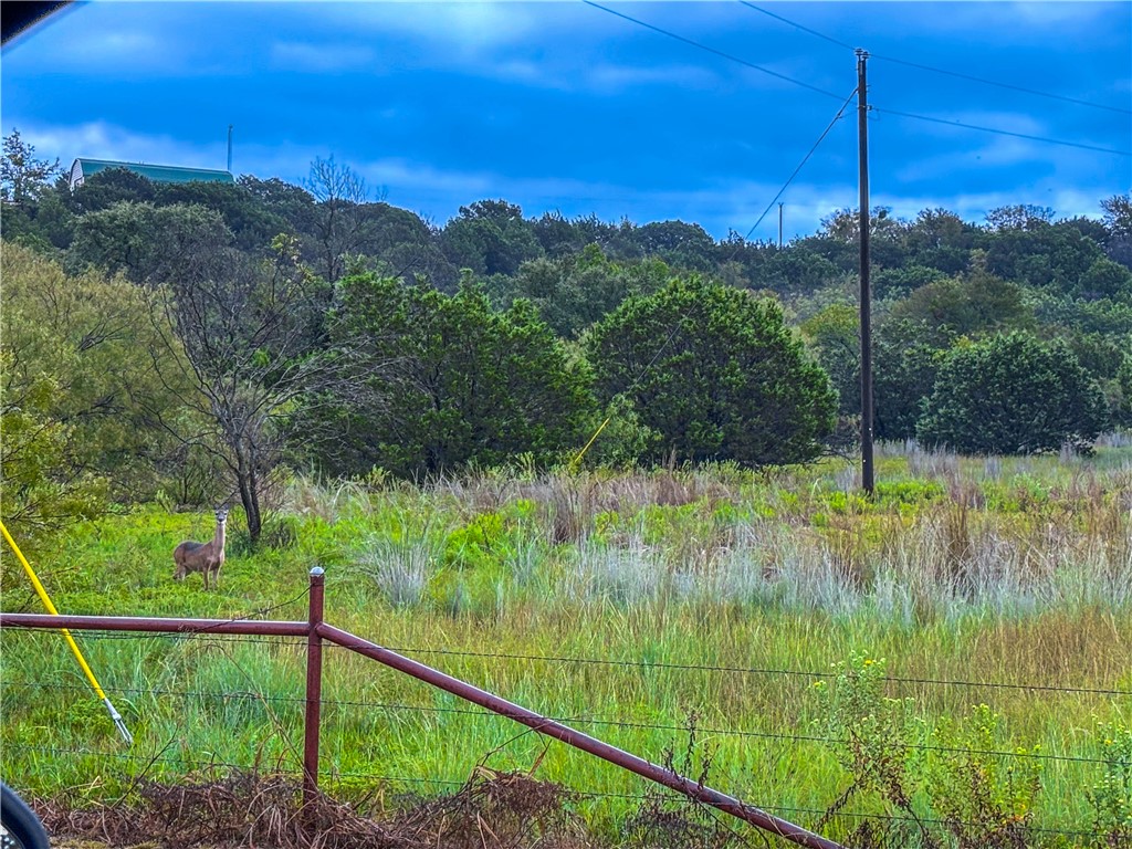 152 Pr 2121 Meridian, TX 76665 - Photo 40 of 41