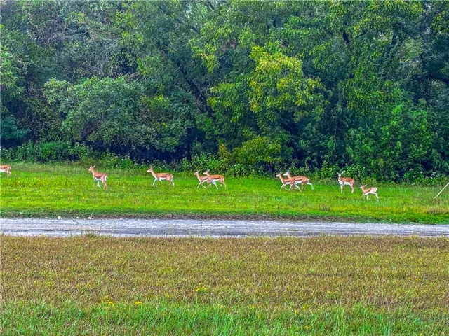 $129,999 | 152 Pr 2121, Meridian, TX 76665