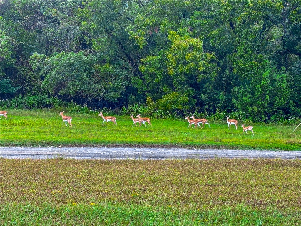 152 Pr 2121 Meridian, TX 76665 - Photo 41 of 41