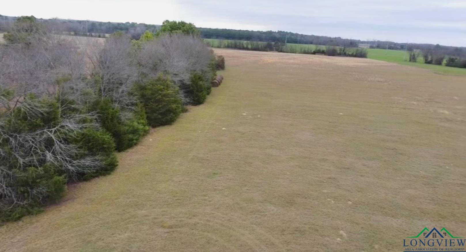 Tbd Chestnut Road Big Sandy, TX 75755 - Photo 3 of 6 Gallery Image 3