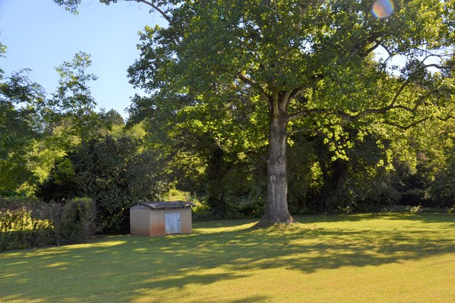 2647 Thomson Road Washington, GA 30673 - Photo 3 of 24 Oak Tree (Wizard of OZ)