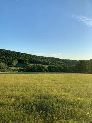 $79,000 | Lot 6 Warren Road, Meredith, NY 13753