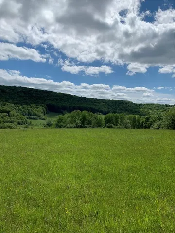 $79,000 | Lot 6 Warren Road, Meredith, NY 13753
