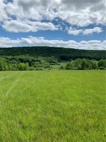 $79,000 | Lot 6 Warren Road, Meredith, NY 13753