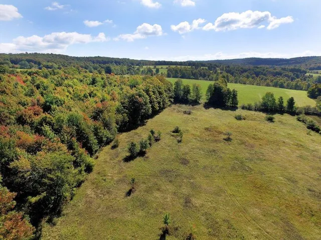 $79,000 | Lot 6 Warren Road, Meredith, NY 13753
