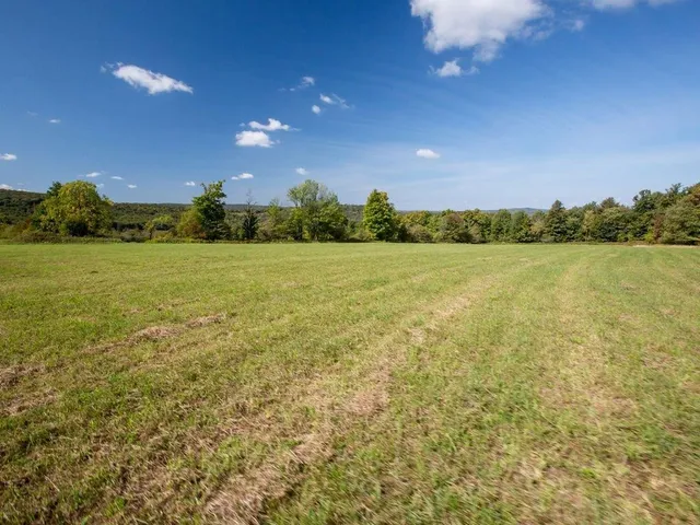 $79,000 | Lot 6 Warren Road, Meredith, NY 13753