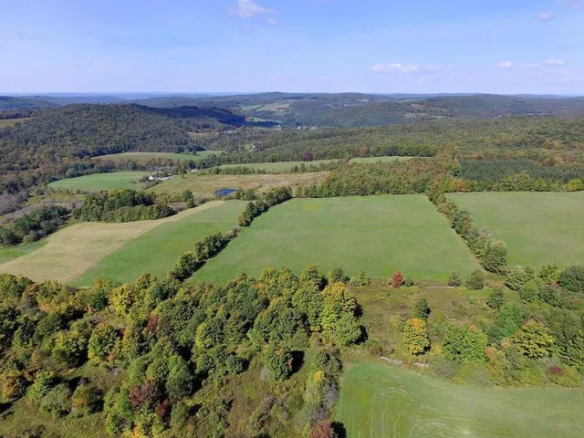 $79,000 | Lot 6 Warren Road, Meredith, NY 13753