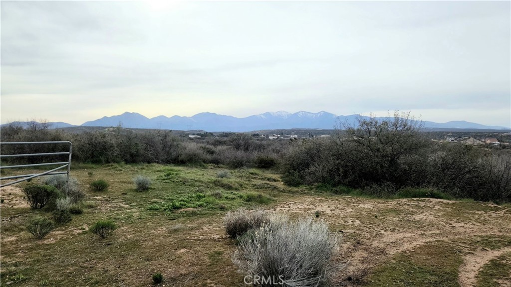 5883 Fremontia Road Oak Hills, CA 92344 - Photo 18 of 23