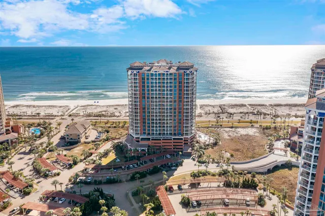 a view of a potted plants from a patio