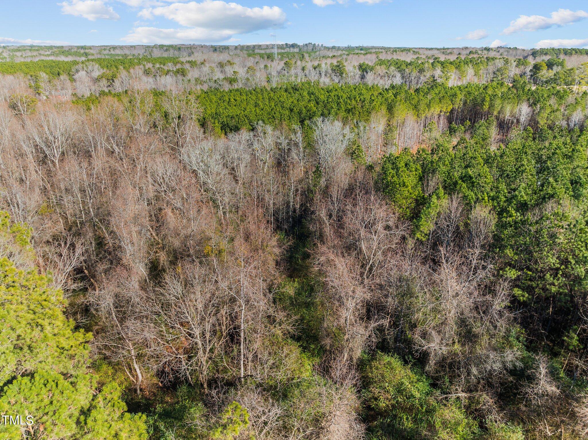 550 Moore Perkerson Road Spring Hope, NC 27882 - Photo 7 of 17 3-web-or-mls-Copy-0201