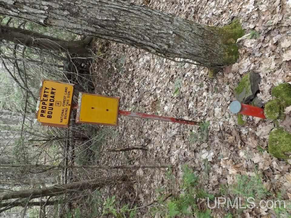 Tbd Forest Rd 180 Wakefield, MI 49968 - Photo 3 of 15