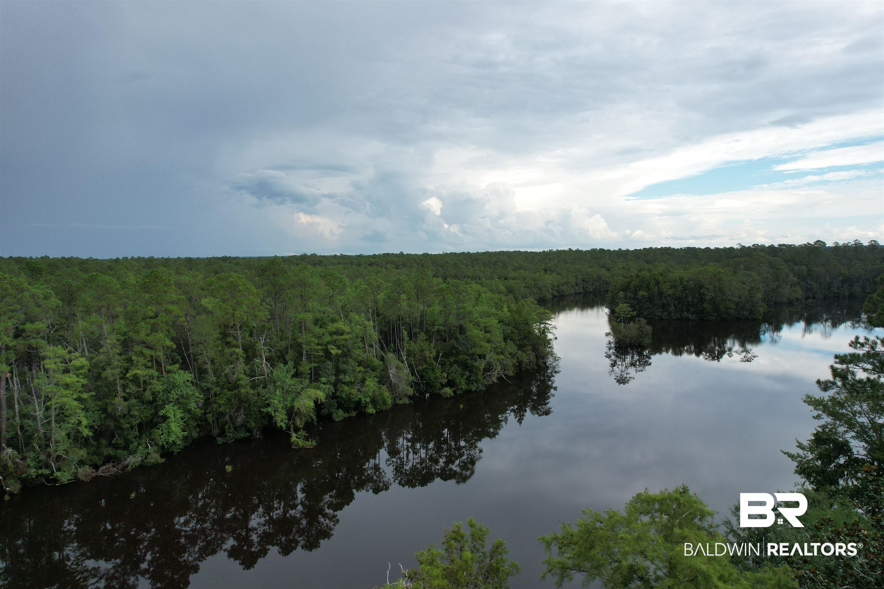 0 Browns Landing Road Seminole, AL 36574 - Photo 3 of 5