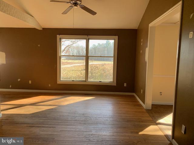 33354 Fox Road Easton, MD 21601 - Photo 7 of 11 Gallery Image 7