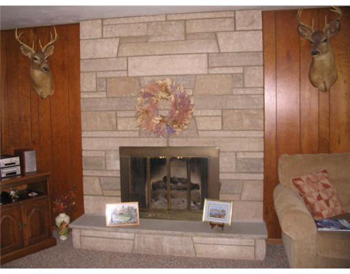 320 Nichols Road Pittsburgh, PA 15237 - Photo 8 of 18 Family Room. Family room fireplace