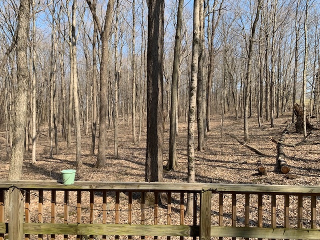 7011 South Lodge Road Bloomington, IN 47403 - Photo 22 of 26