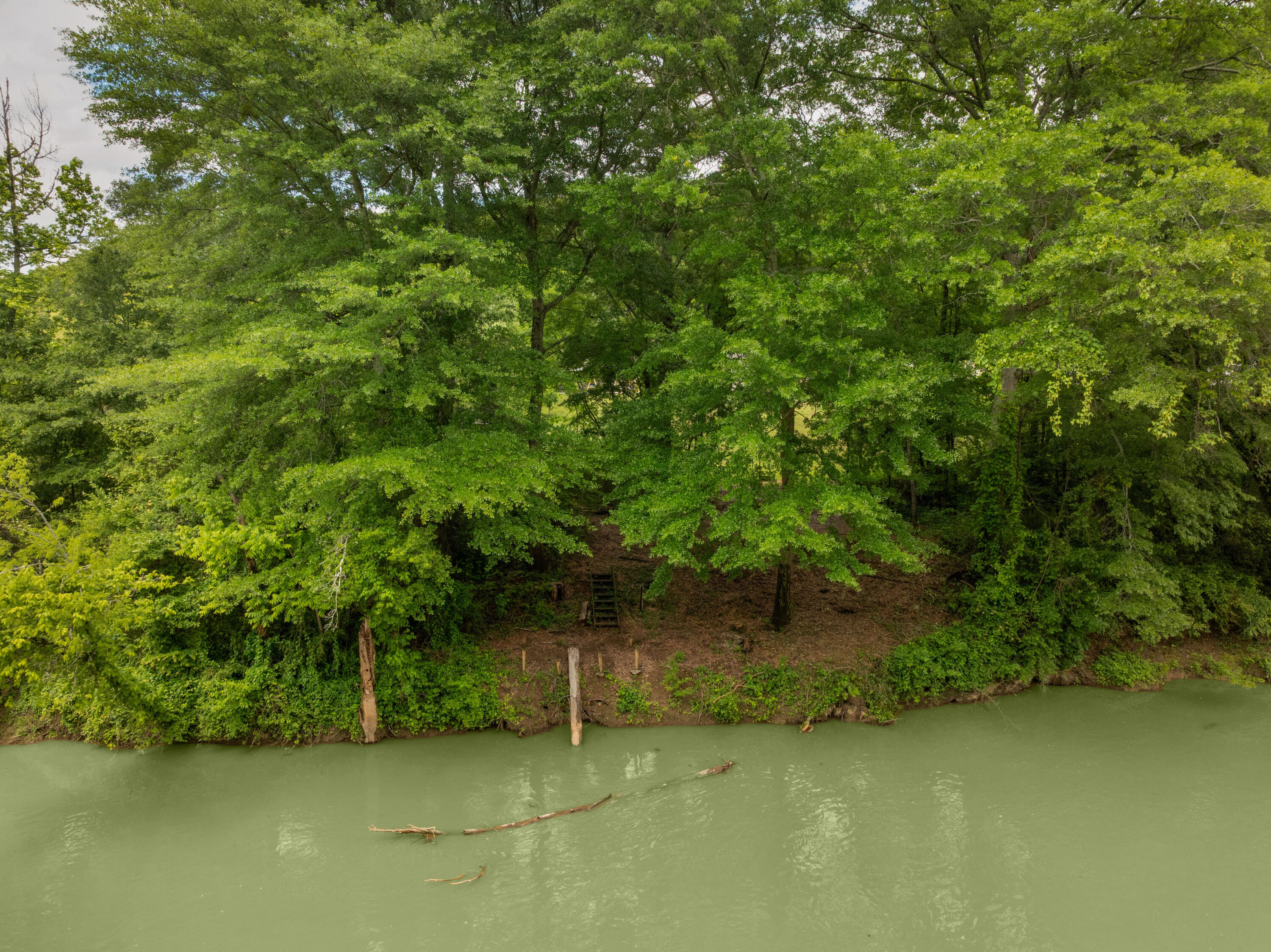 2774 Forest Road Chattanooga, TN 37406 - Photo 42 of 45 04 - 2774 Forest Rd - Drone