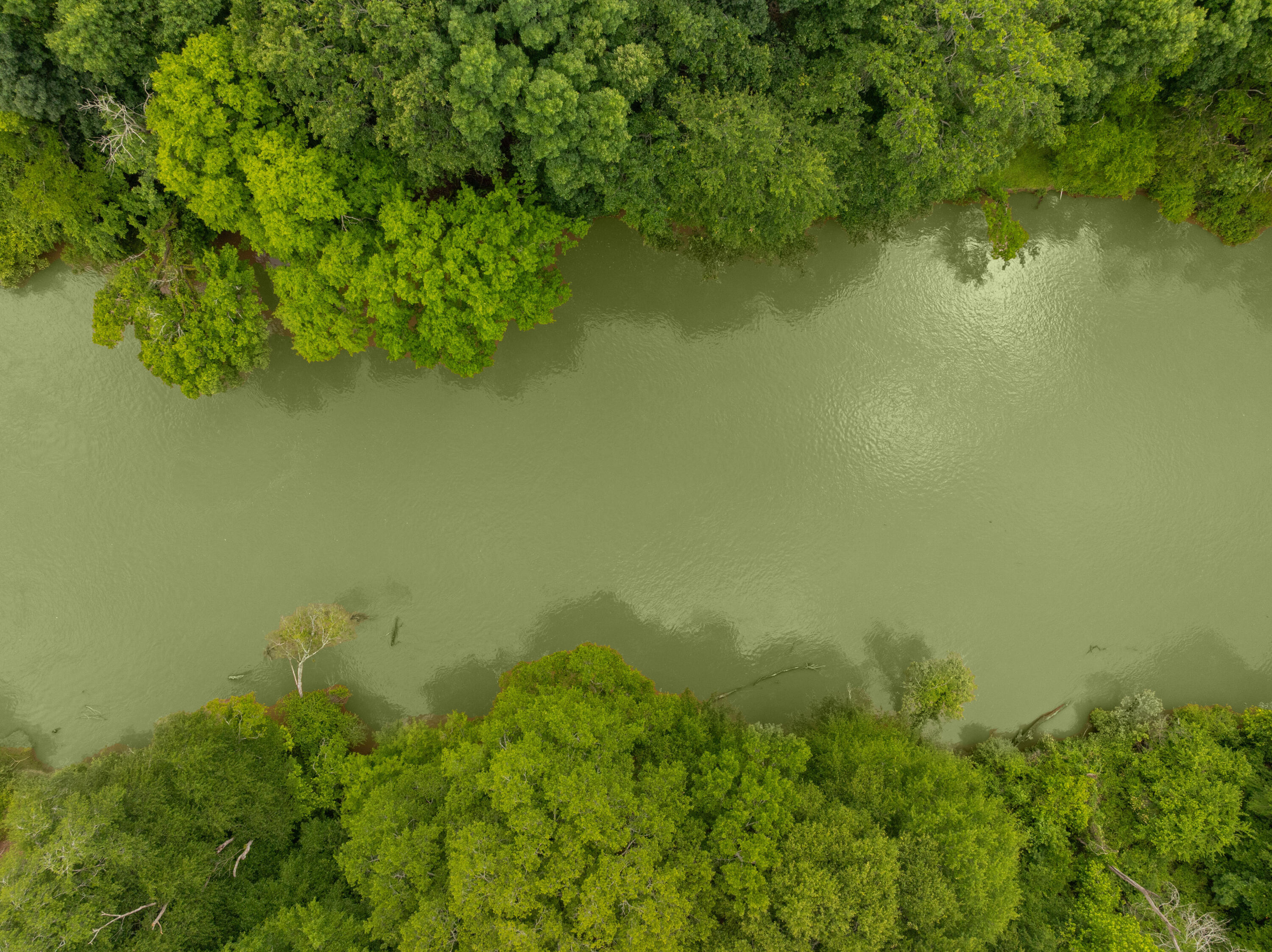 2774 Forest Road Chattanooga, TN 37406 - Photo 44 of 45 06 - 2774 Forest Rd - Drone