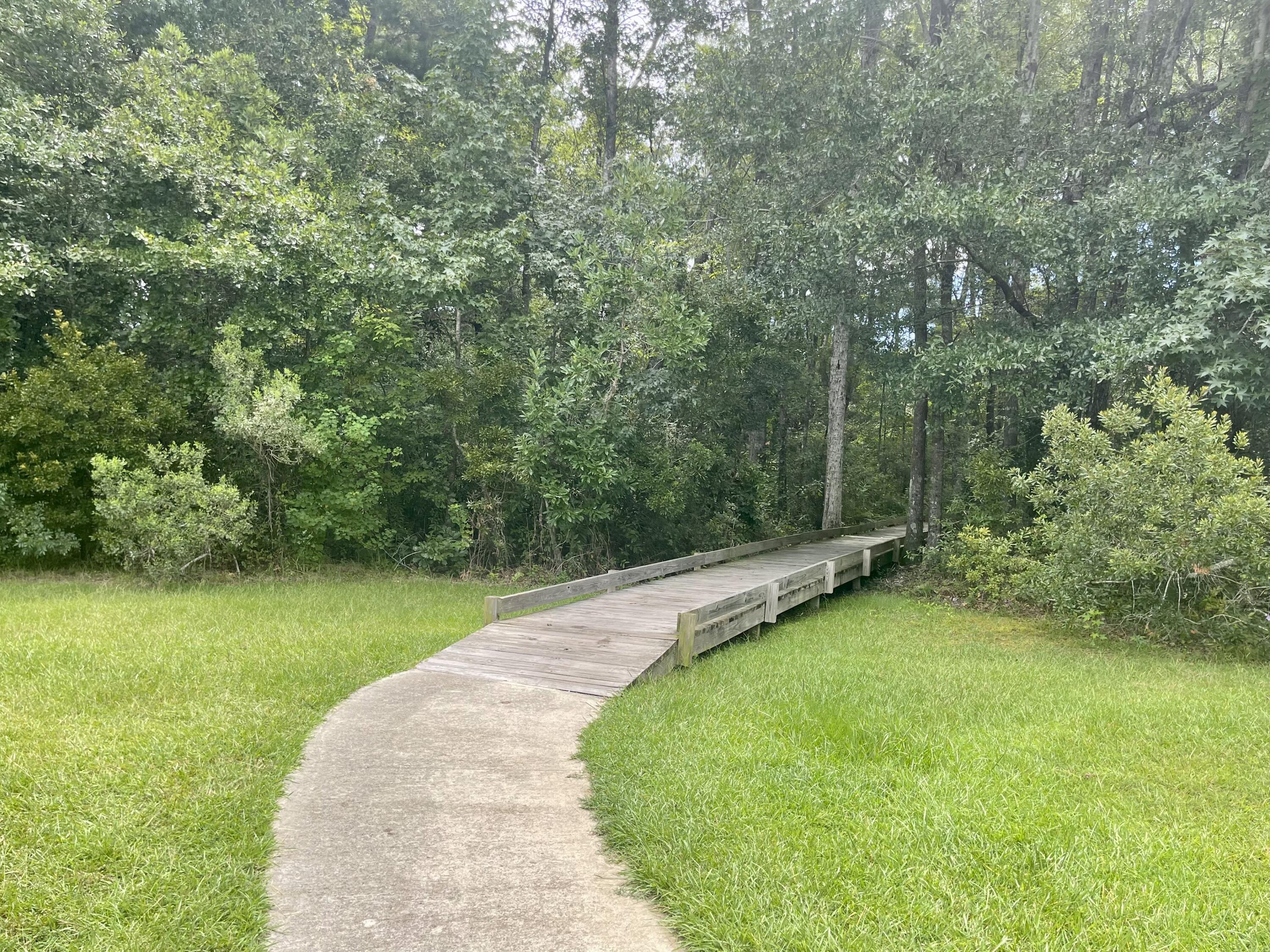 205 Hollytree Circle Ladson, SC 29456 - Photo 44 of 45 26B10BE6-6291-4172-8FE3-547C63E520EF