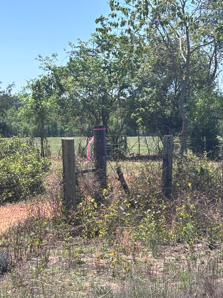 5-ac 5-ac Kirkland Store Road Mauk, GA 31058 - Photo 11 of 17 a view of a outdoor space