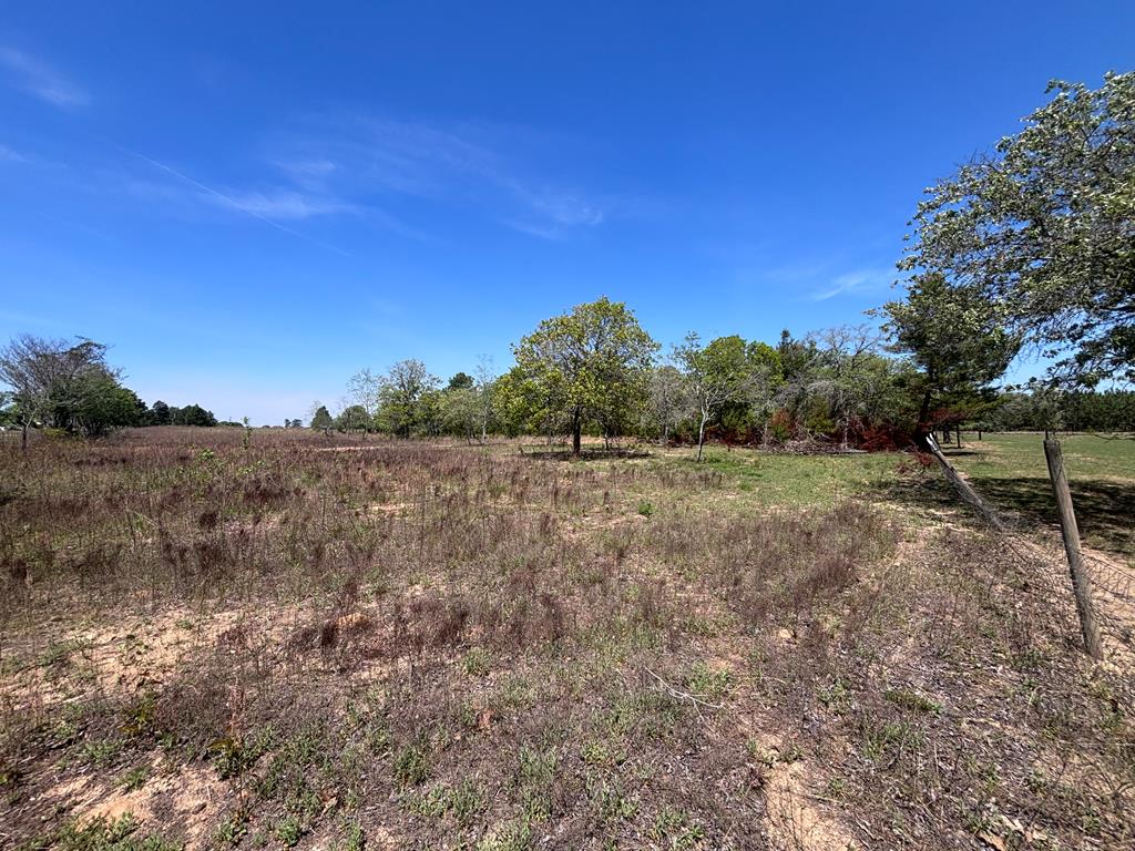 5-ac 5-ac Kirkland Store Road Mauk, GA 31058 - Photo 12 of 17 a view of a field with trees in background